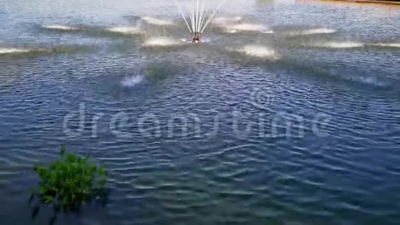 在湖中央的喷泉视频的预览图