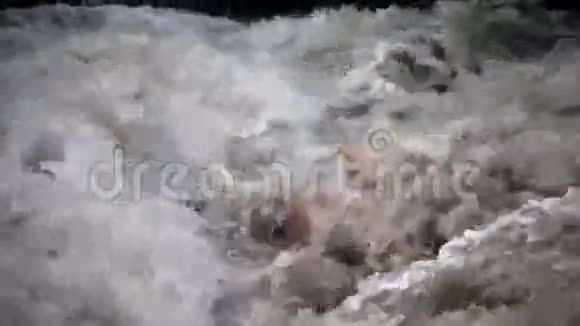 河水泛滥视频的预览图