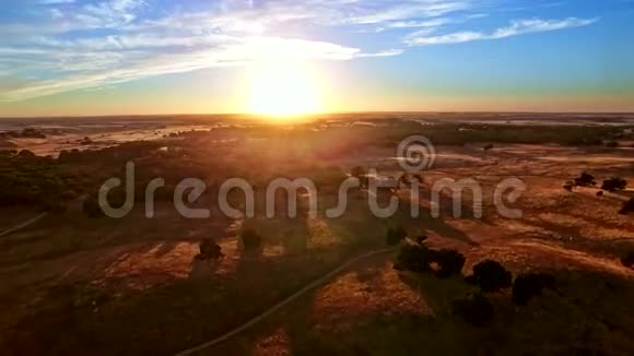 日落时草原牧场视频的预览图