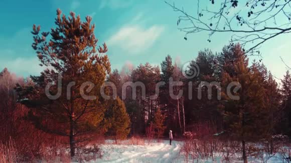 日落时的冬林年轻女孩欣赏风景大镜头视频的预览图