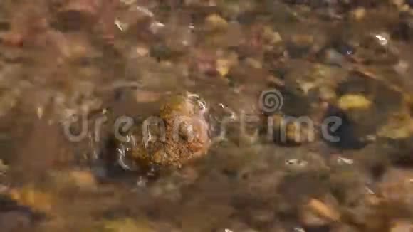 河岸上的石头或鹅卵石视频的预览图