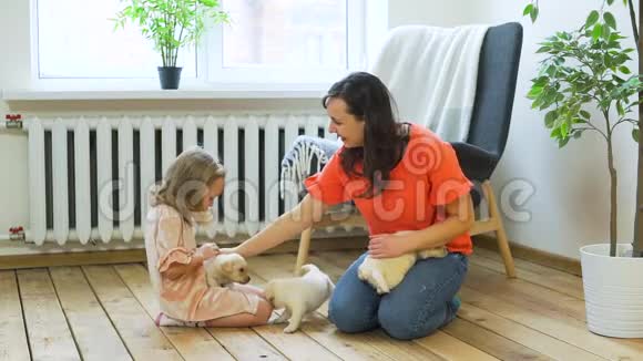 妈妈和女儿在家玩小狗视频的预览图