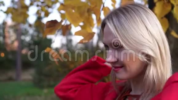 温暖的秋天秋天公园里一个美丽女人的肖像视频的预览图