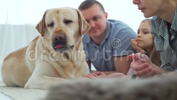 家人和狗在家里休息视频的预览图