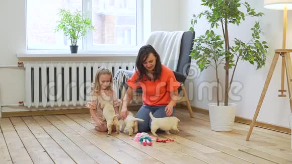 小女孩和妈妈一起玩可爱的小狗视频的预览图
