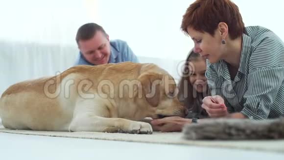 躺在地板上玩狗的家人视频的预览图