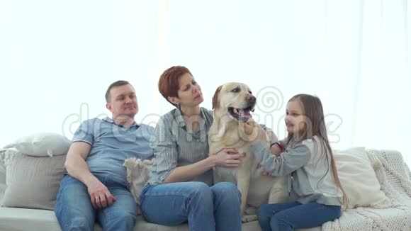 三口之家幸福狗坐沙发视频的预览图