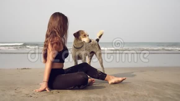 一个年轻的女人和一只狗在海边散步视频的预览图