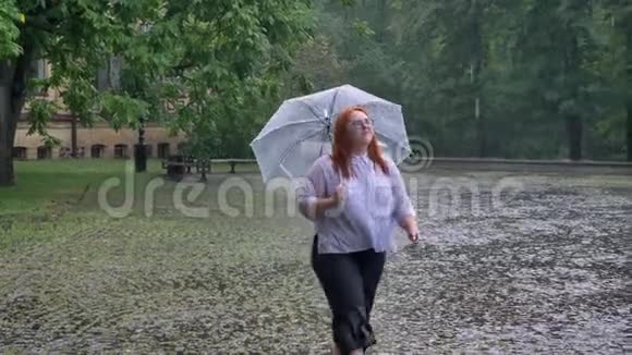 戴着眼镜的肥姜姑娘在雨下的公园里散步抬头看着撑着伞视频的预览图