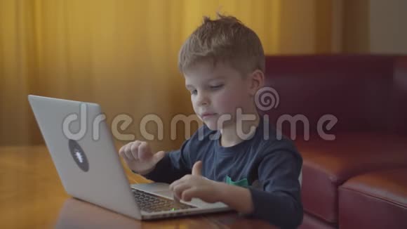 金发的学龄前男孩在笔记本电脑上打字微笑着看着电脑屏幕孩子在家坐在网上学习视频的预览图