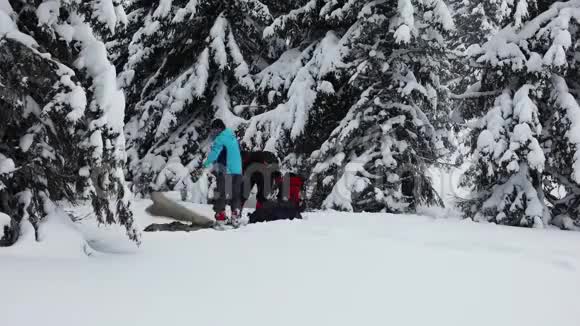 2两个人在白雪皑皑的树林中搭起了帐篷视频的预览图