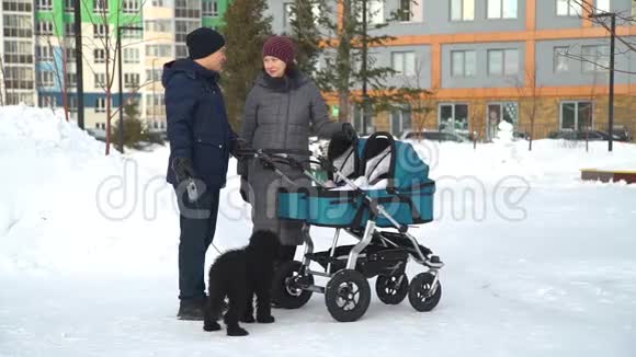 双胎婴儿车和狗的父母视频的预览图