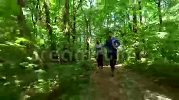 在森林里慢跑女子训练跑步慢跑健身跑步者4k视频视频的预览图