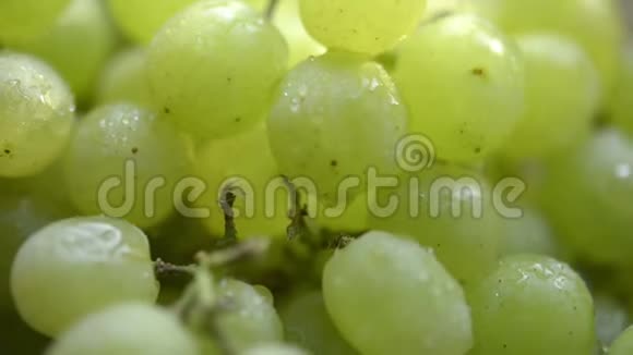 新鲜的绿色葡萄视频的预览图