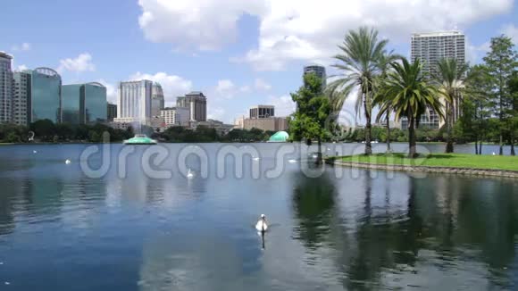 佛罗里达州奥兰多市中心的Eola湖公园视频的预览图