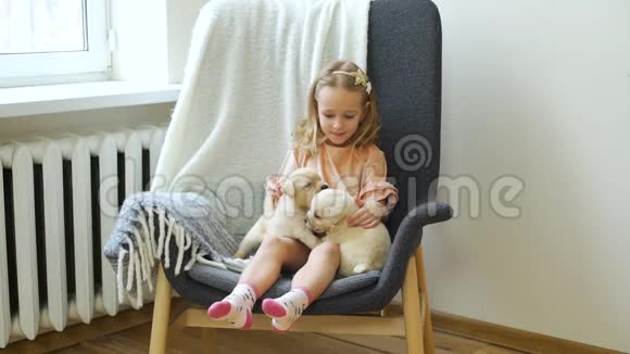 小女孩和可爱的小狗坐在扶手椅上视频的预览图
