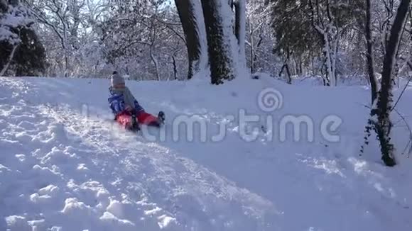 孩子在雪中雪橇孩子在冬天玩耍小女孩在公园雪橇视频的预览图