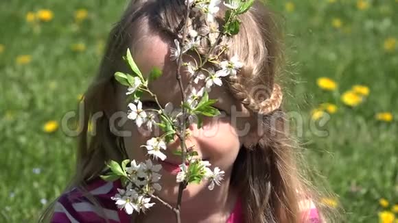 4K小子脸画像春花童玩草甸少女自然视频的预览图