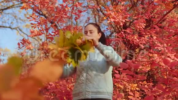 美丽的女人用红叶从圣母的背景上的枫叶中听到一声叹息视频的预览图