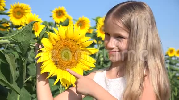 向日葵农业田里的农民孩子十几岁的女孩在农业丰收中玩耍的孩子视频的预览图