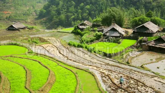 越南萨帕的阿克哈村宏伟的水稻梯田视频的预览图