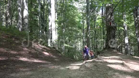 4父亲孩子走山道小径家人在森林里徒步旅行野营视频的预览图