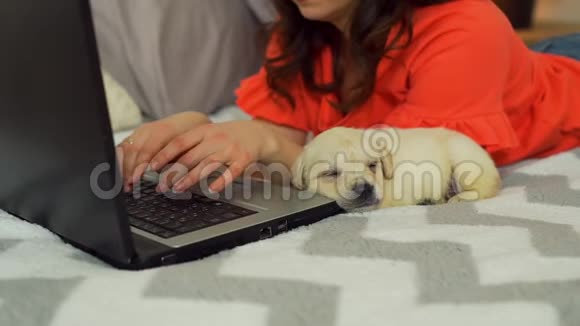 在小狗附近的笔记本电脑上工作的女性特写视频的预览图