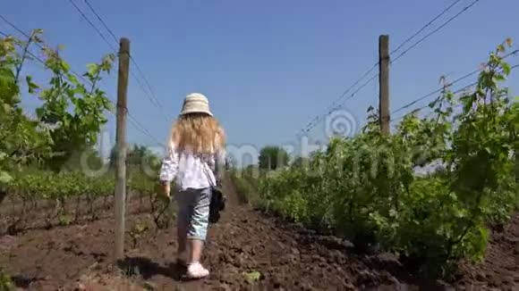 4K童在葡萄园散步童童在野外玩耍女孩在乡村放松乡村景色视频的预览图