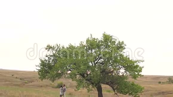 幸福的孕妇和她的丈夫在日落时在一棵大树附近的田野里视频的预览图