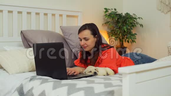 可爱的小狗睡觉而女人工作笔记本电脑视频的预览图