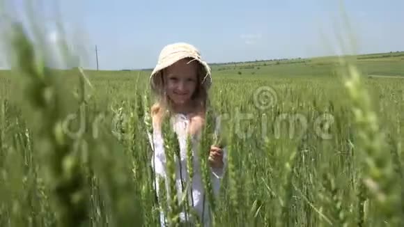 4K童在麦田里行走在农业作物中玩耍在大自然中户外活动视频的预览图