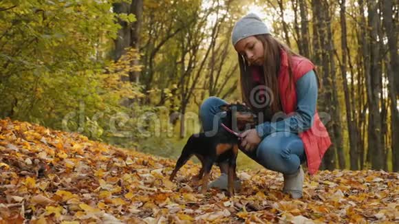 一个女孩在秋天的公园里爱抚她的狗视频的预览图
