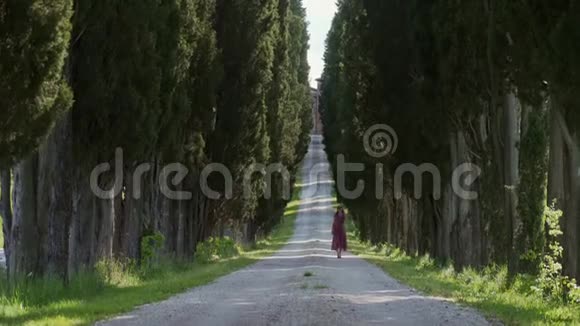 穿着红色浪漫连衣裙的女人走在与柏油树的小径上视频的预览图