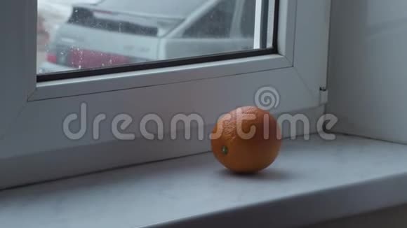 窗台上的橙色视频的预览图