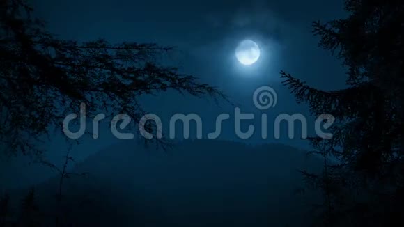 树木用月亮构成夜间森林视频的预览图