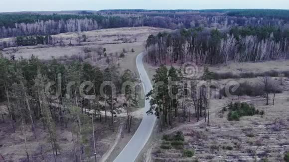 在森林里的空车路上骑着自行车的有动力的骑车人铁人三项运动员骑着铁人三项计时自行车骑着艾尔斯视频的预览图