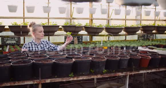 女植物学家在温室里检查植物视频的预览图