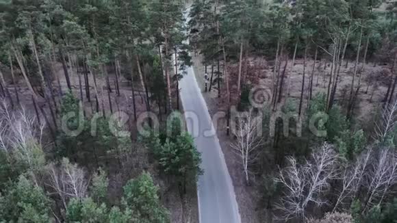 职业自行车手是在森林里的空路上独自训练的三项运动员在自行车上蹬车为铁人车做准备视频的预览图
