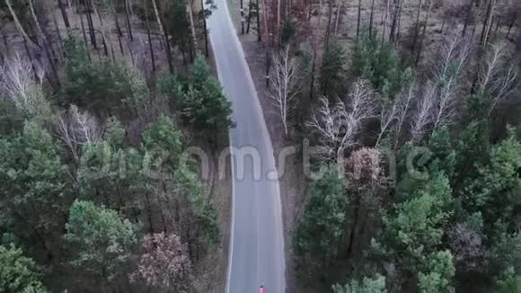 专业骑自行车的人在森林里的空车路上骑自行车骑自行车的人戴着头盔穿着鲜艳的运动服视频的预览图