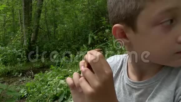 疲惫的10岁男孩坐在夏天的森林里吃饼干露天野餐徒步旅行在大自然中背包旅行视频的预览图