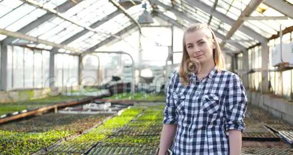 年轻女性植物学家检查盆栽植物视频的预览图