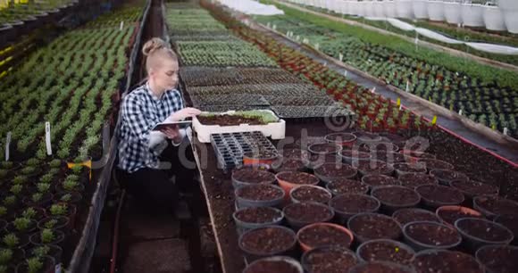 温室里使用数字平板电脑的女性植物学家视频的预览图