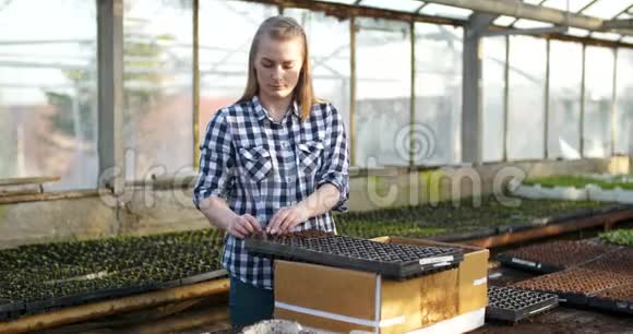 年轻女性植物学家检查盆栽植物视频的预览图