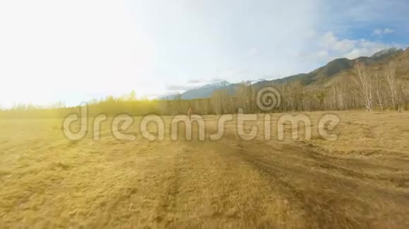 女孩走在田野中间的一条乡间小路上向森林的方向走去视频的预览图