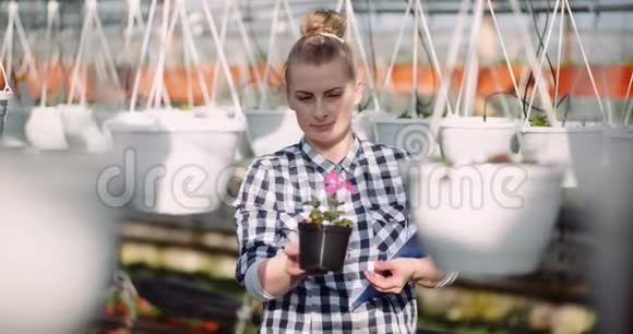 农业商业微笑园丁与花在温室视频的预览图