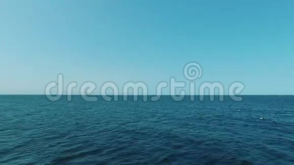 海洋中的蓝鲸群视频的预览图