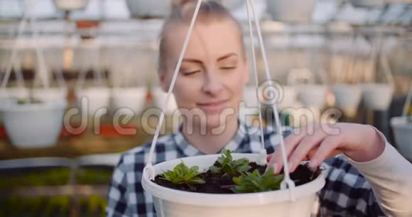 农业商业微笑园丁与花在温室视频的预览图