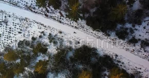 女人在雪地上玩耍的空中镜头视频的预览图