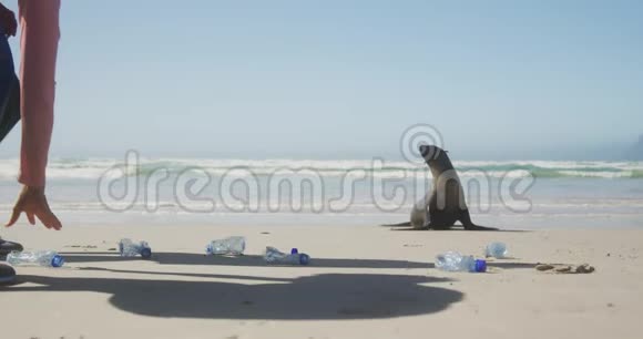 运动女性在海滩打扫卫生视频的预览图