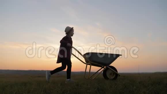 日落时分剪影小女孩在田里和手推车玩耍快乐的孩子手推车里秋天的庄稼视频的预览图